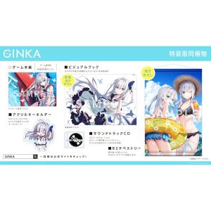 ブシロード 【Switch】 GINKA [特装版] Switch用ソフト（パッケージ版
