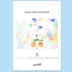 【即納可能】【新品】2025年版 AIRDOオリジナル 壁掛けカレンダー（ベア・ドゥを探してね）