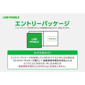 【メール便限定】LINEモバイル エントリーパ...の詳細画像4
