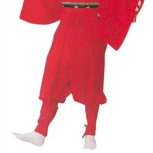 たっつけ袴 銀 無地 南京玉すだれ 手古舞 袴 （s迎8713） 仕立上がり