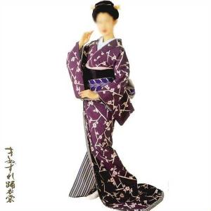 踊り 着物 裾引き振袖 御守殿 仕立上がり 大衆 演劇 日本舞踊、歌謡
