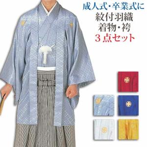 縞袴 袴 縞 はかま mi縞8547 舞台 衣装 着物 きもの 日舞 日本舞踊 お