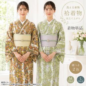 洗える夏着物(絽・付け下げ訪問着) Lフリーサイズ 黒色地に花柄