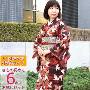 着物 セット きもの 初めて 6点 おためしセット RK