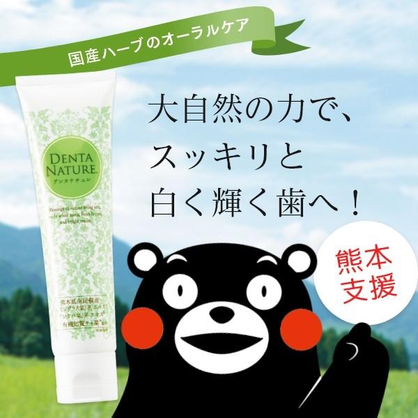 ホワイトニングケア 口臭対策 マウスケア 歯磨き粉 デンタナチュレ 70g EBM