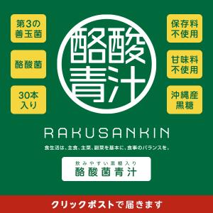 酪酸菌青汁 大麦若葉 モリンガ デキストリン 黒糖入り 第3の善玉菌 1ヵ月3g×30本