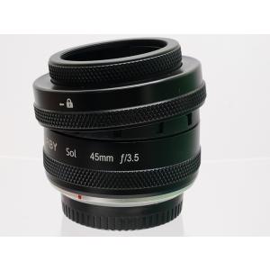 ニコン（Nikon） 望遠レンズ AF-S DX NIKKOR 55-300mm f/4.5-5.6G ED