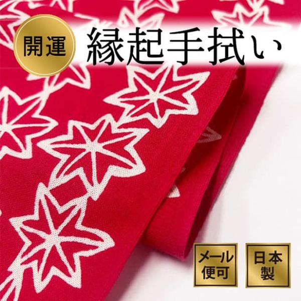 手ぬぐい 紅葉模様 秋 注染てぬぐい 飾る 日本製