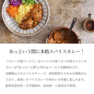 カレーの壺スパイシー 200g / 辛口 動物...の詳細画像2