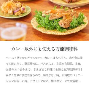 カレーの壺スパイシー 200g / 辛口 動物...の詳細画像5