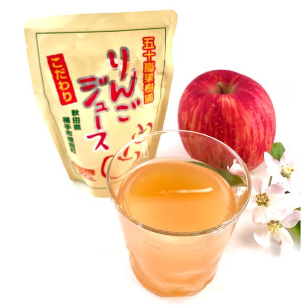 (ケース販売/20パック入り) 五十嵐果樹園のりんごジュース 185g×20パック
