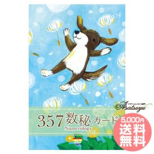 オラクルカード 357数秘カード 日本語解説書付属｜asatsuyu