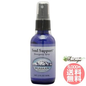 ヒマラヤン フラワー エンハンサーズ エクスタシー ( 15ml )/ : 爽快