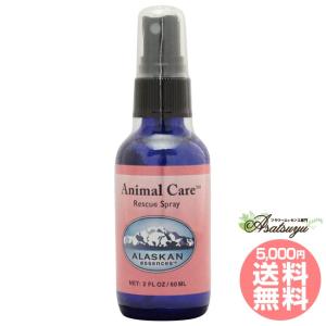 【予約品】ソウルサポートスプレー(60ml)　アラスカン　フラワーエッセンス ソウルサポート スプレー アラスカン・エッセンス フラワーエッセンス