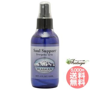 【予約品】ソウルサポートスプレー(60ml)　アラスカン　フラワーエッセンス ソウルサポート スプレー アラスカン・エッセンス フラワーエッセンス