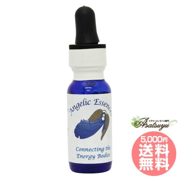 #47 コネクティング・ザ・エナジー・ボディズConnectingtheEnergyBodies ア...