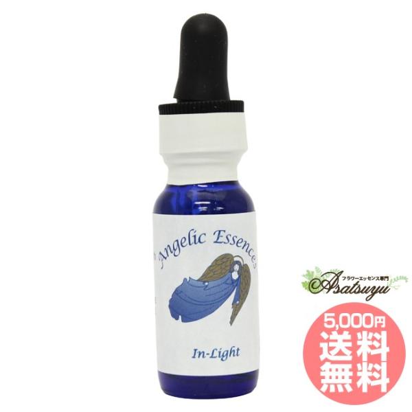 #110 イン・ライトIn-Light アンジェリックエッセンス アンジェリックフリーダムキット