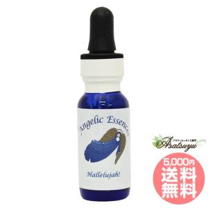 ヒマラヤン フラワー エンハンサーズ エクスタシー ( 15ml )/ : 爽快