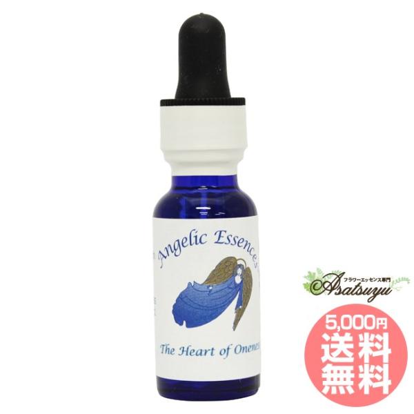 #101 ワンネスのハートTheHeartofOneness アンジェリックエッセンス ワンネスキッ...