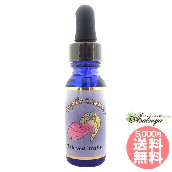 #28 ユア・ビー・ラブド・ウイズイン 内なる愛 TheBelovedWithin アンジェリックエ...