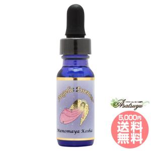 【専用】#59ディーエヌエー64DNA 64アンジェリックフラワーエッセンス他 59 ディーエヌエー64 アンジェリックエッセンス DNA64