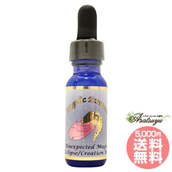 #233 アンエクスペクテッドマジック 予期せぬ魔法 Unexpected Magic アンジェリッ...