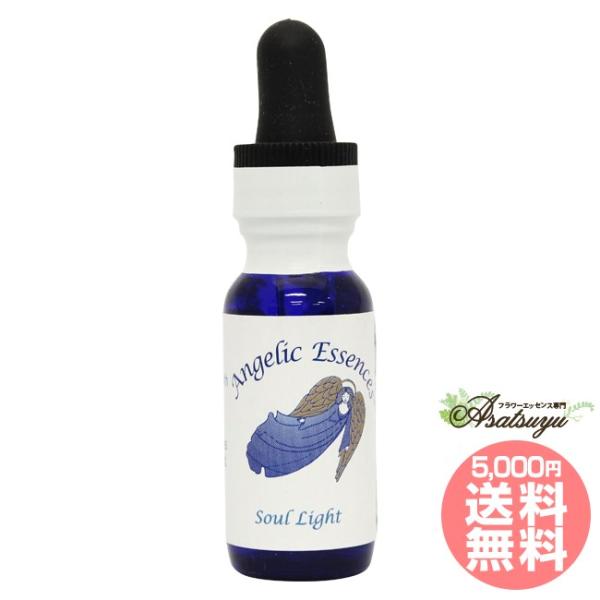#184 ソウル-ライトSoulLight アンジェリックエッセンス アンジェリックエッセンス単品