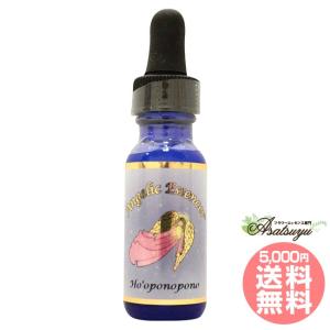 ホオポノポノのクリーニングツールの商品一覧 通販 Yahoo ショッピング