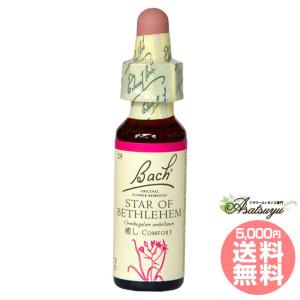 バッチフラワーレメディ 36ワイルドオート ノンアルコープタイプ 10ml