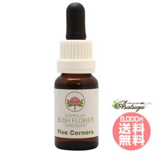 ヒマラヤン フラワー エンハンサーズ グラガ ( 15ml )/ : 爽快ドラッグ