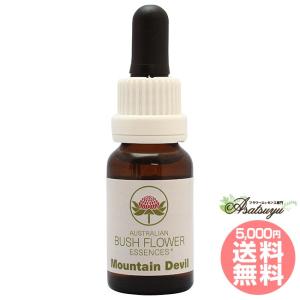 メディテーション 瞑想 オーストラリアンブッシュ コンビネーション