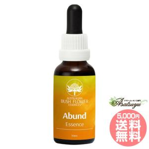 ケアラー 介護者 オーストラリアンブッシュ コンビネーション