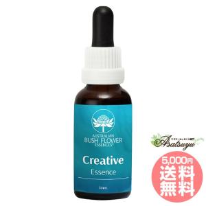 【専用】ケアラー『介護者』 オーストラリアンブッシュ フラワーエッセンス ケアラー 介護者 オーストラリアンブッシュ コンビネーション