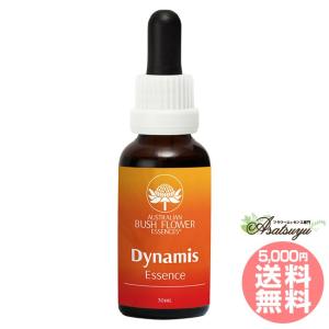 ケアラー 介護者 オーストラリアンブッシュ コンビネーション