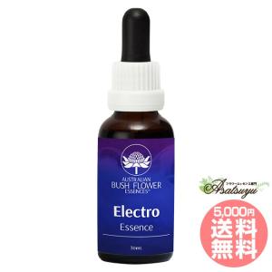 ケアラー 介護者 オーストラリアンブッシュ コンビネーション