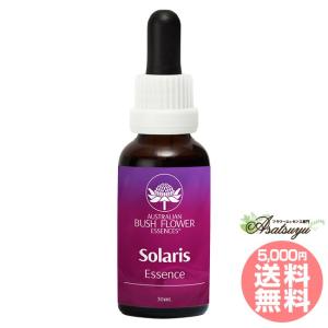 ケアラー 介護者 オーストラリアンブッシュ コンビネーション