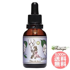 シルバーソード 30ml パワーオブフラワーヒーリング