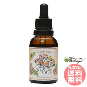 ヒマラヤン フラワー エンハンサーズ グラガ ( 15ml )/ : 爽快ドラッグ