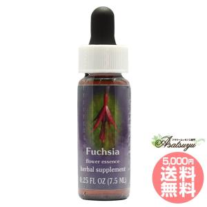 遠赤外線ベルト パーマクリスト マーヤフィールド ☆コットン