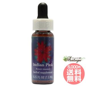 アバンダンスプログラムセット 日本語訳付 ( 1セット )/ パシフィック