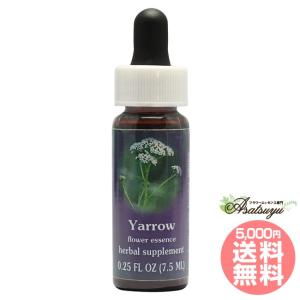 ヒマラヤン フラワー エンハンサーズ グラガ ( 15ml )/ : 爽快ドラッグ
