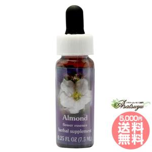 フラワーエッセンス コルテPHIエッセンス オーシャンエッセンス No.36