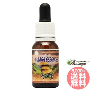 ヒマラヤン フラワー エンハンサーズ エクスタシー ( 15ml )/ : 爽快