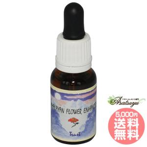 ヒマラヤン フラワー エンハンサーズ エクスタシー ( 15ml )/ : 爽快