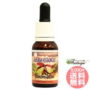 ヒマラヤン フラワー エンハンサーズ エクスタシー ( 15ml )/ : 爽快