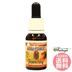 ヒマラヤン フラワー エンハンサーズ グラガ ( 15ml )/ : 爽快ドラッグ