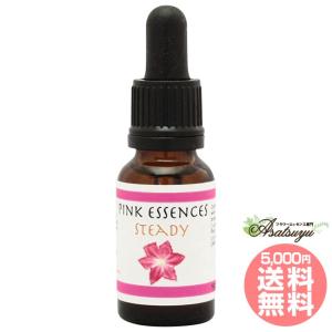 アバンダンスプログラムセット 日本語訳付 ( 1セット )/ パシフィック