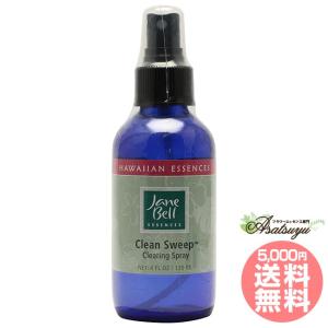 ヴェールオブライトスプレー 60ml ジェーンベルハワイアンエッセンス