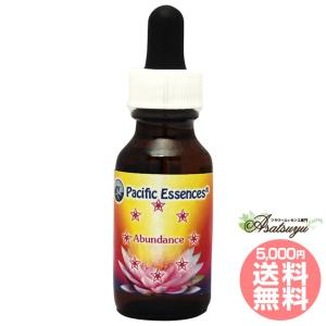 ヒマラヤン フラワー エンハンサーズ エクスタシー ( 15ml