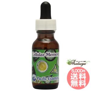 マクロカーパ オーストラリアンブッシュ シングルエッセンス